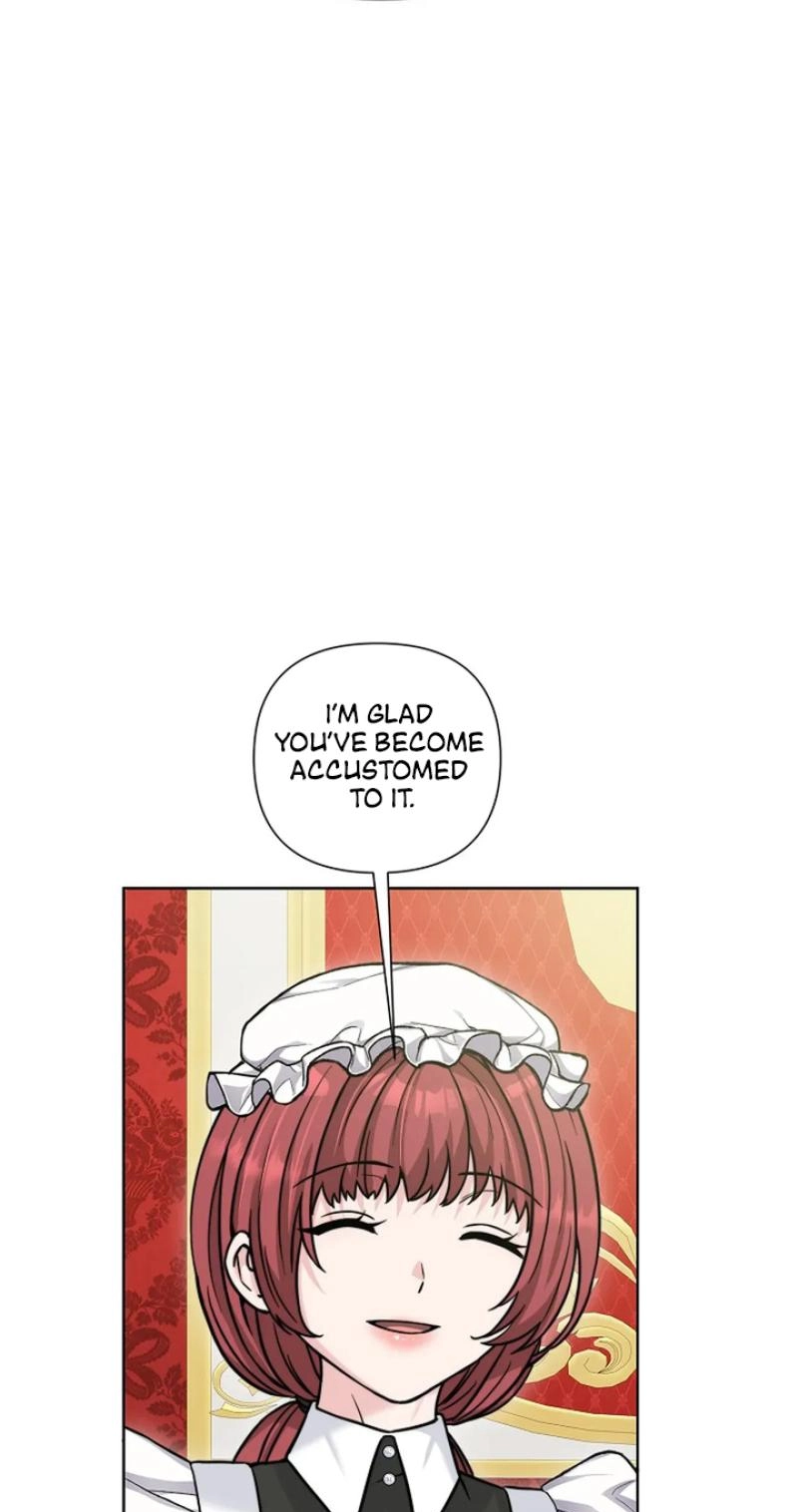 Read The Maid