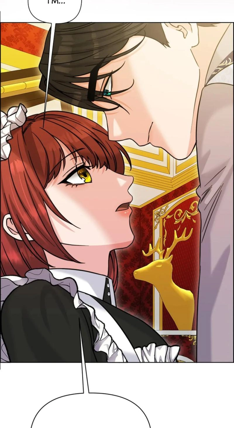 Read The Maid