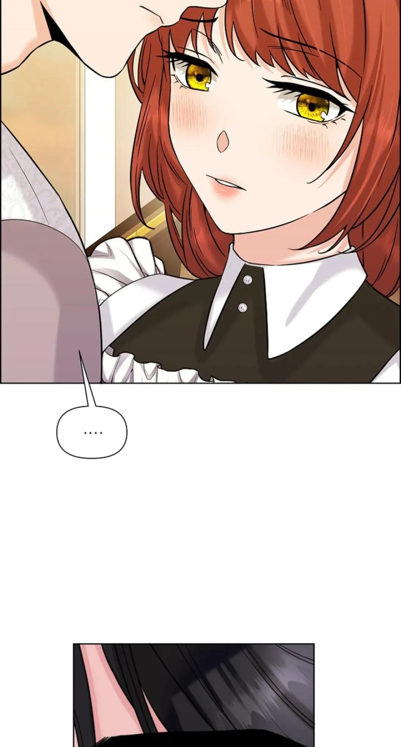 Read The Maid