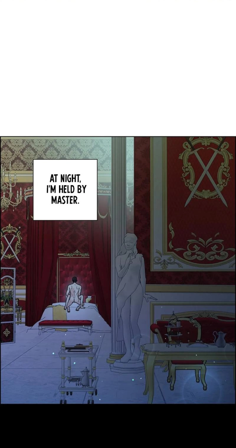 Read The Maid