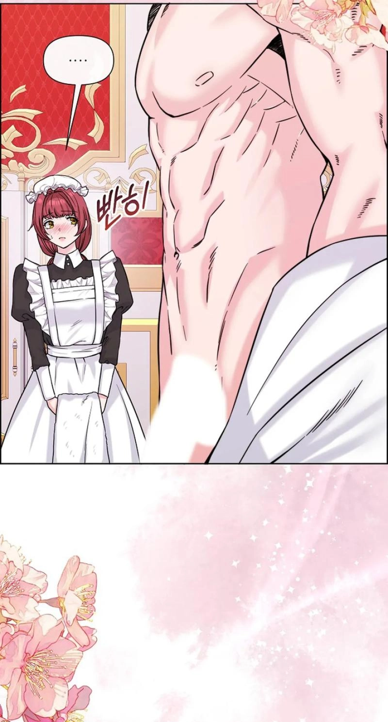 Read The Maid