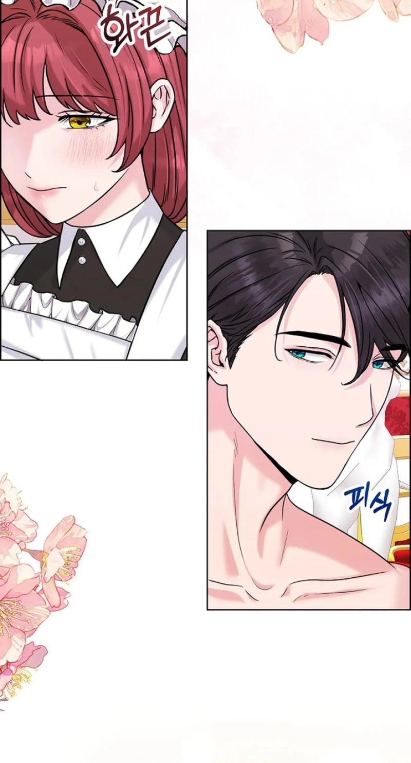 Read The Maid