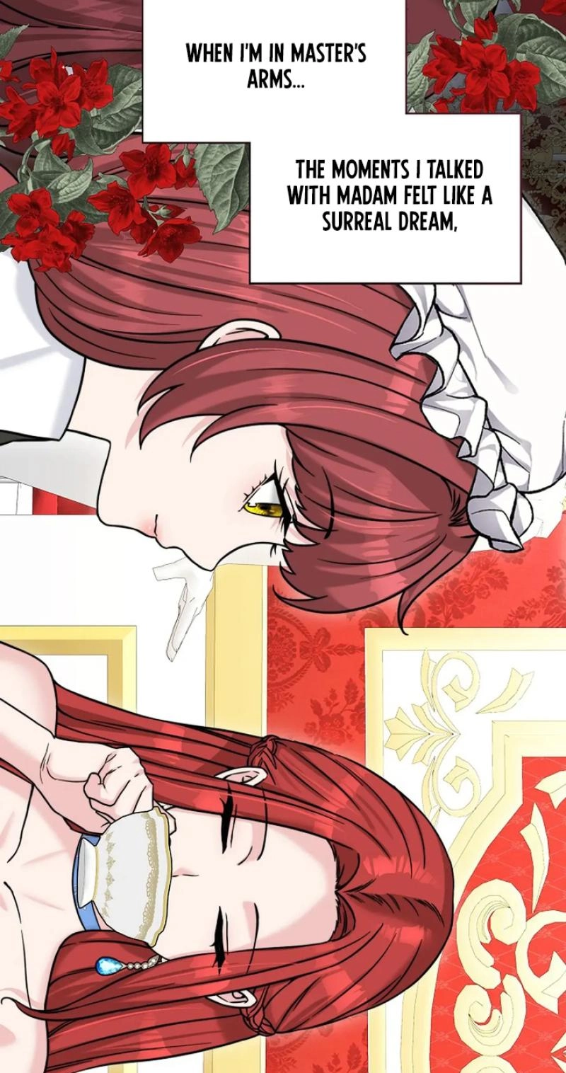 Read The Maid