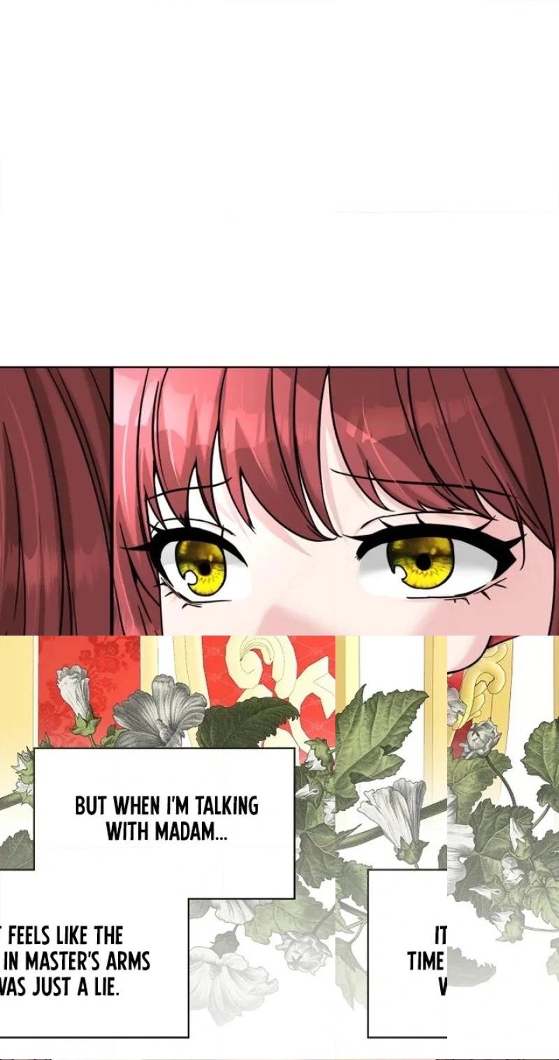 Read The Maid