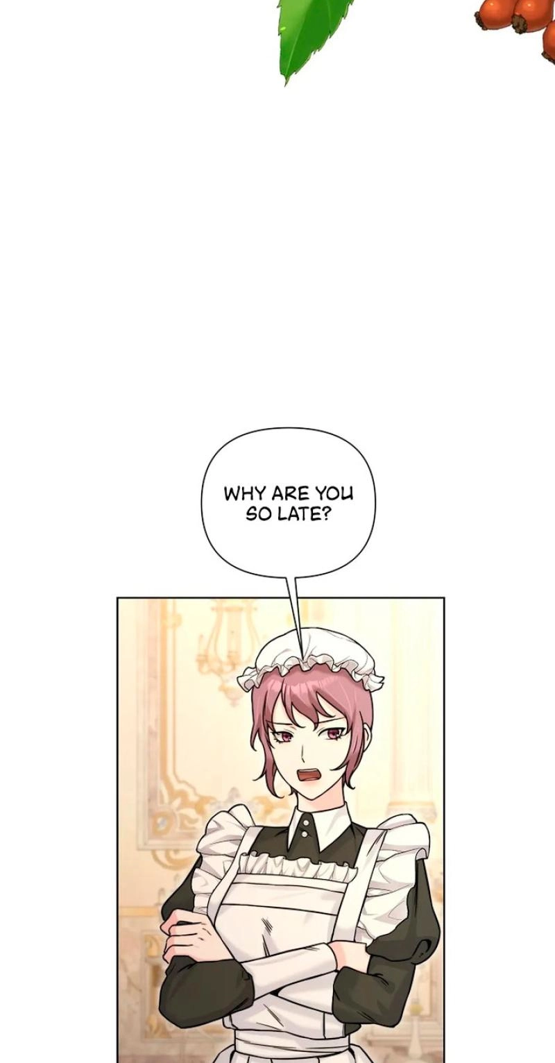 Read The Maid