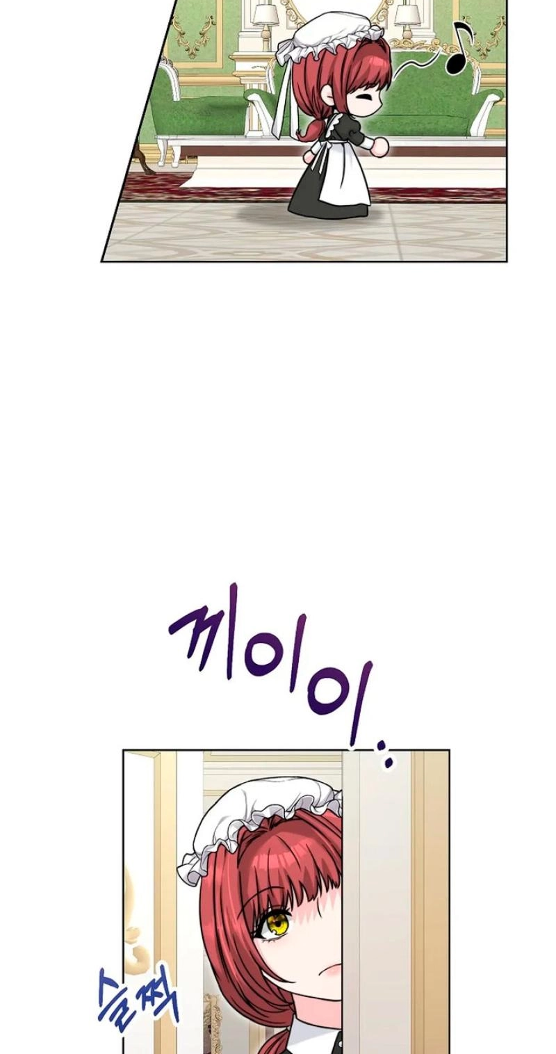 Read The Maid