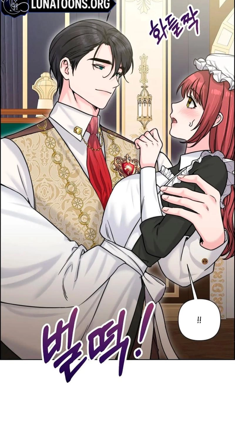 Read The Maid