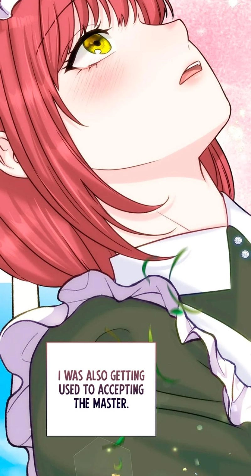 Read The Maid
