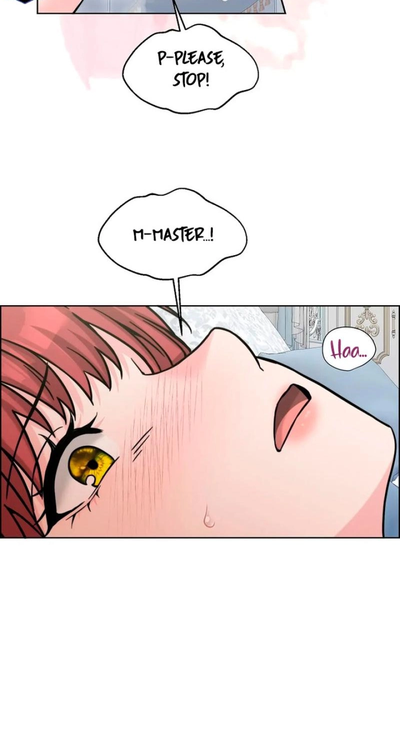 Read The Maid