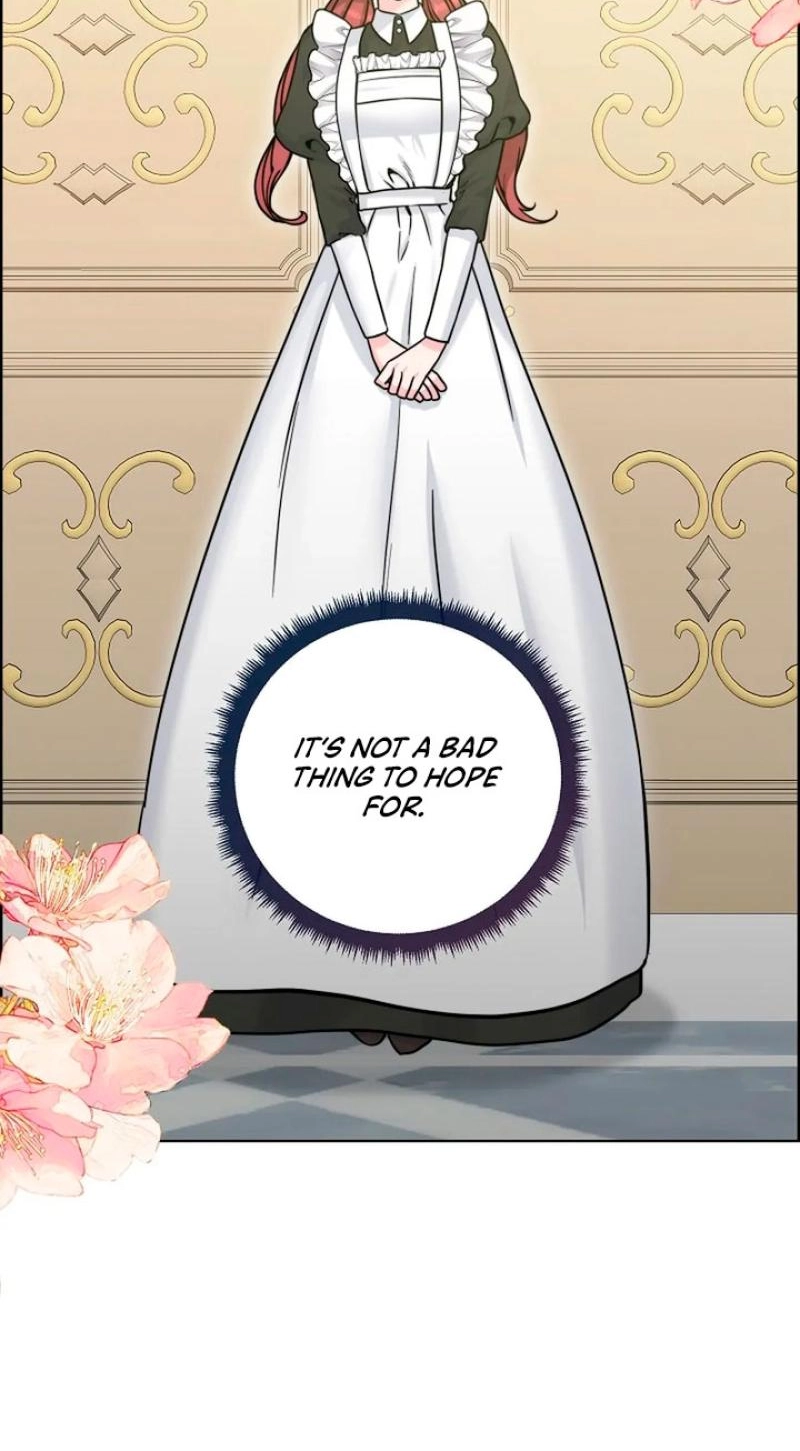 Read The Maid