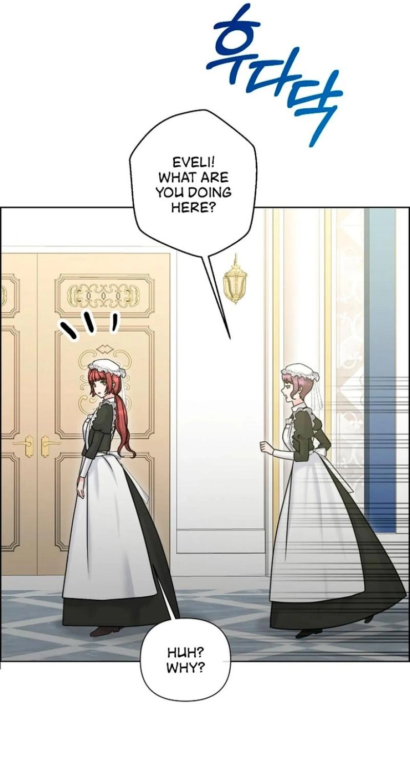Read The Maid