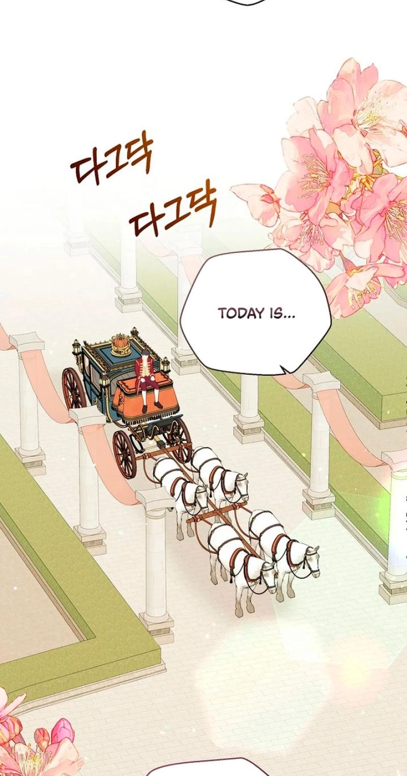 Read The Maid