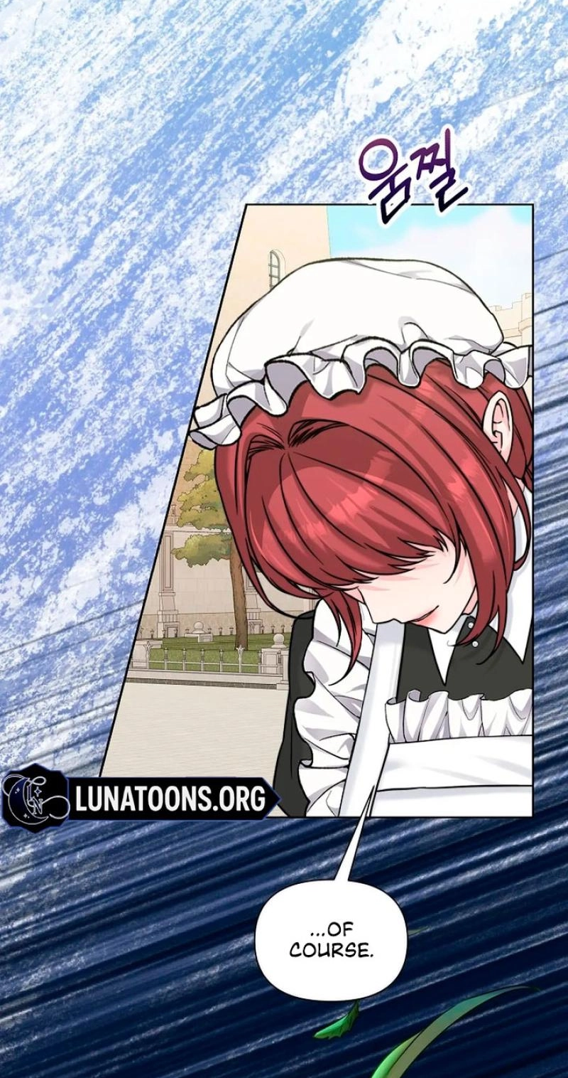 Read The Maid