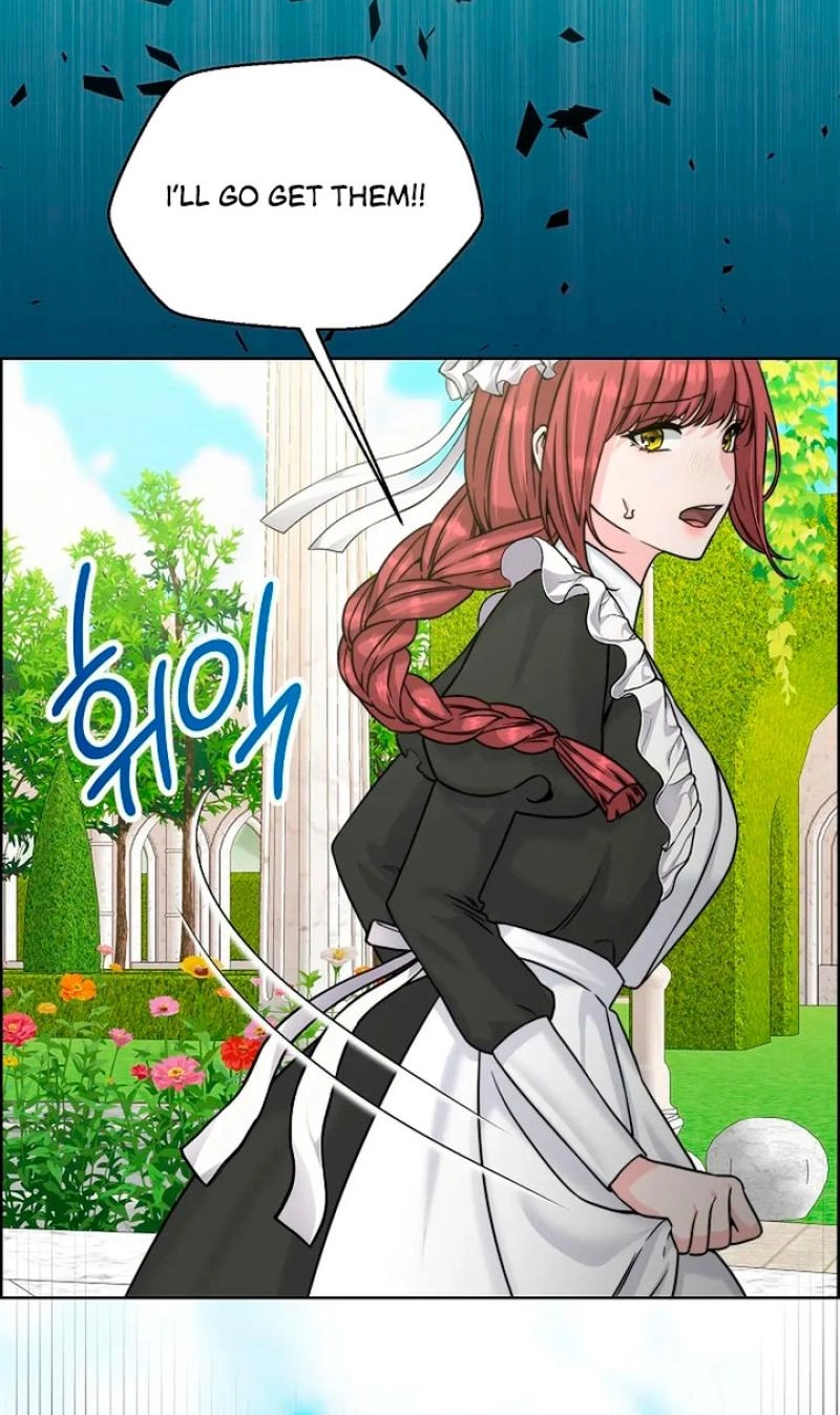 Read The Maid