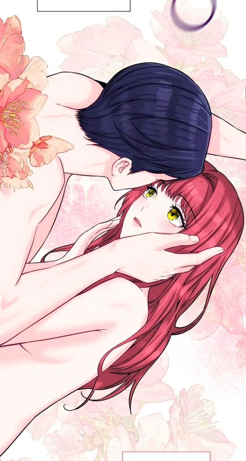 Read The Maid