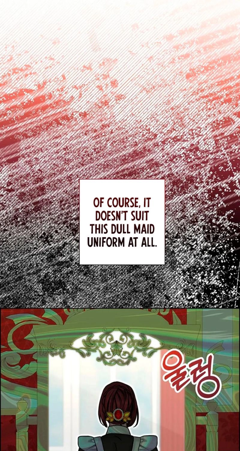 Read The Maid