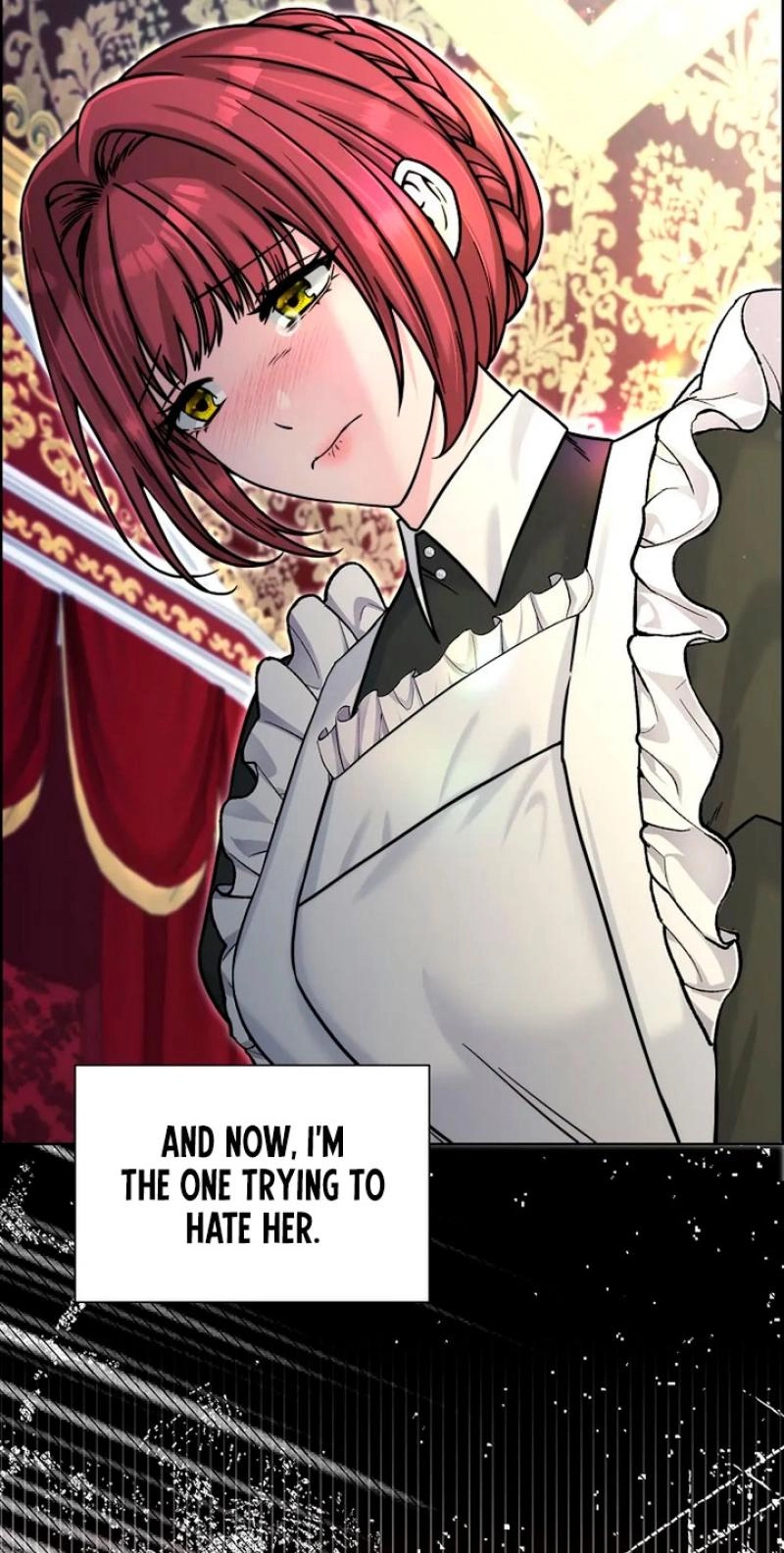 Read The Maid