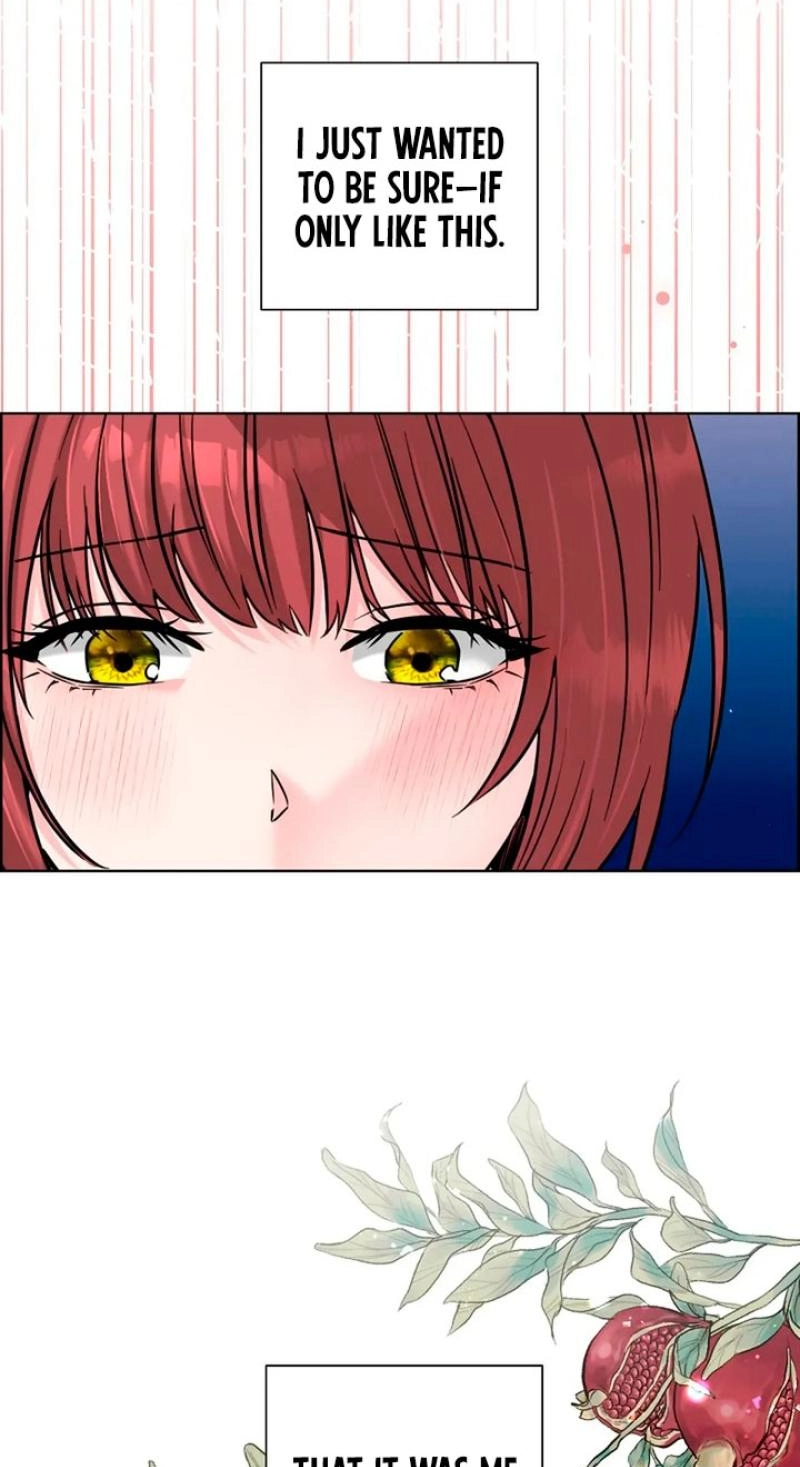 Read The Maid