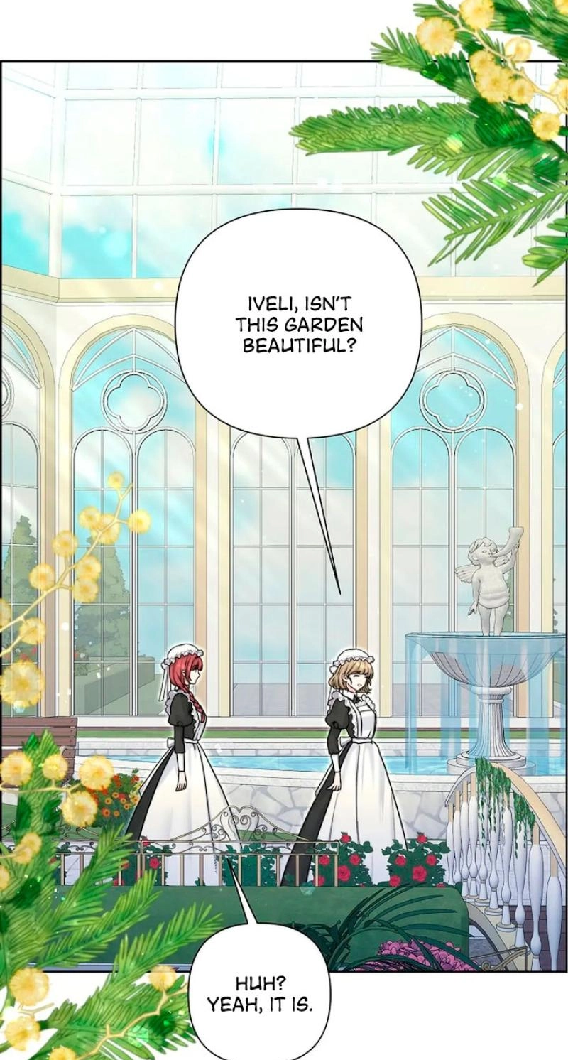 Read The Maid