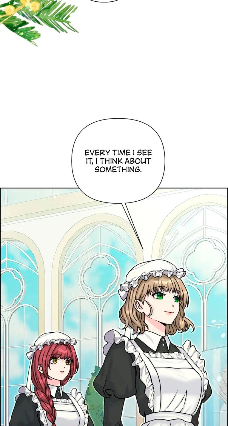 Read The Maid