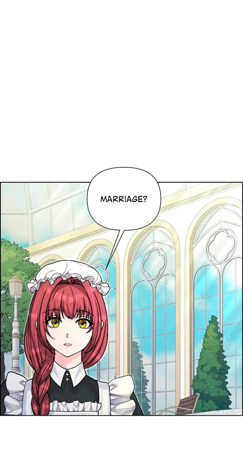 Read The Maid