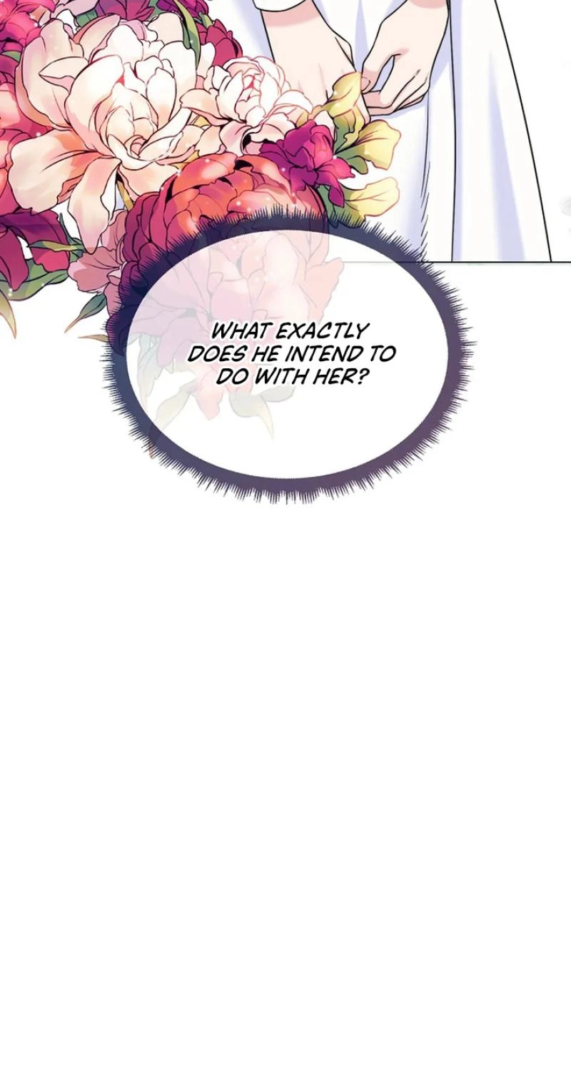 Read The Maid
