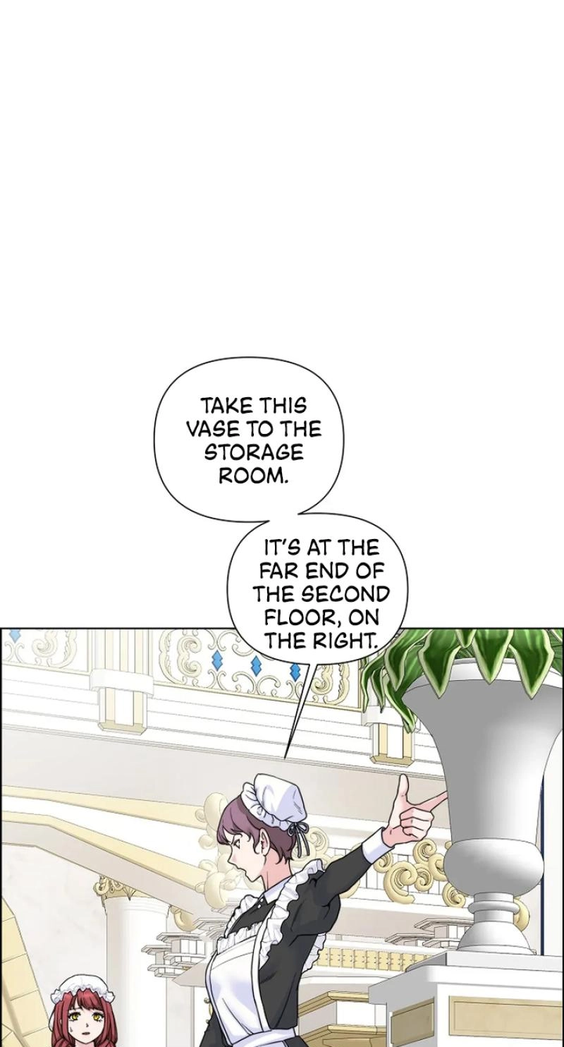 Read The Maid