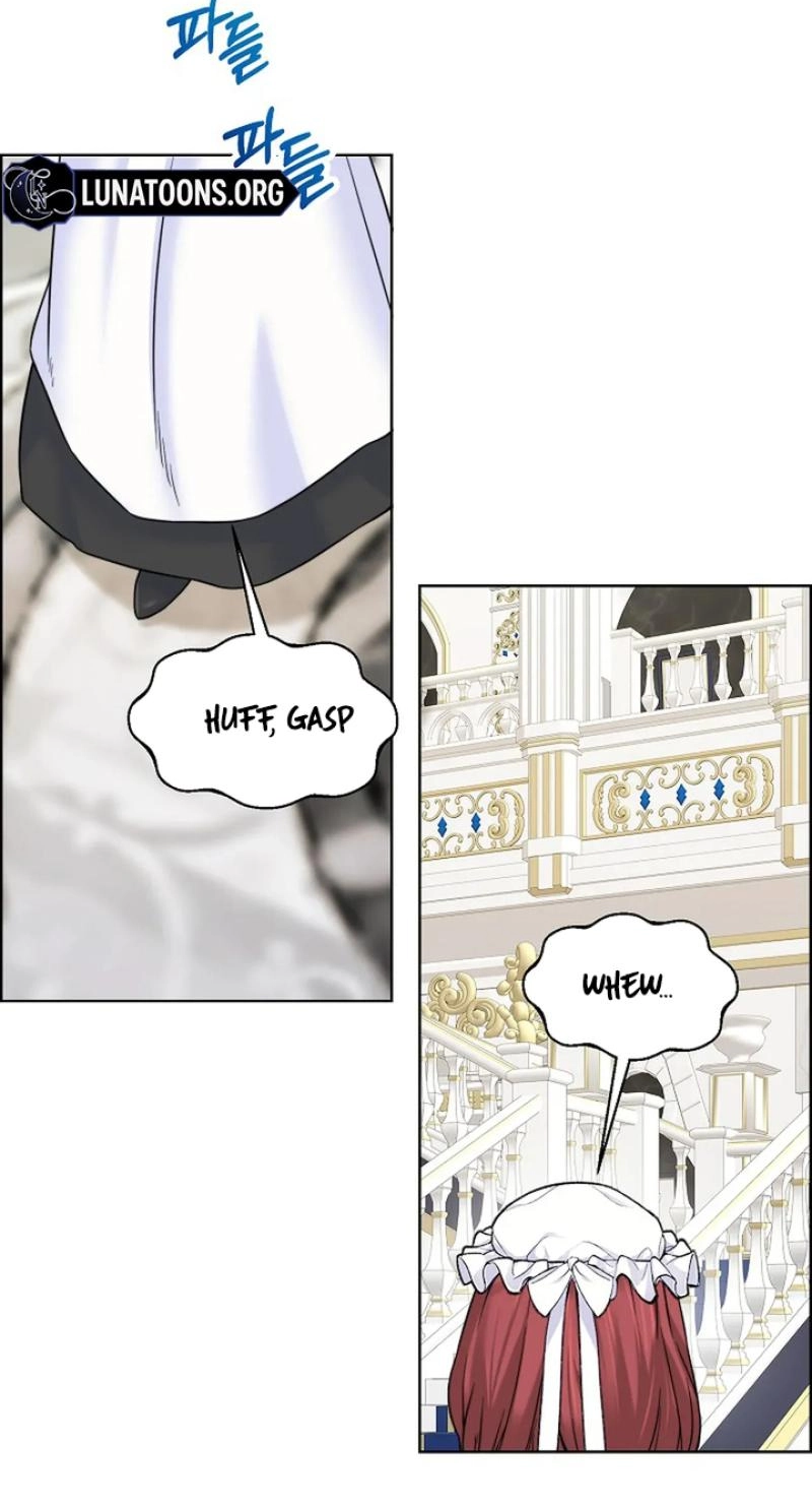 Read The Maid