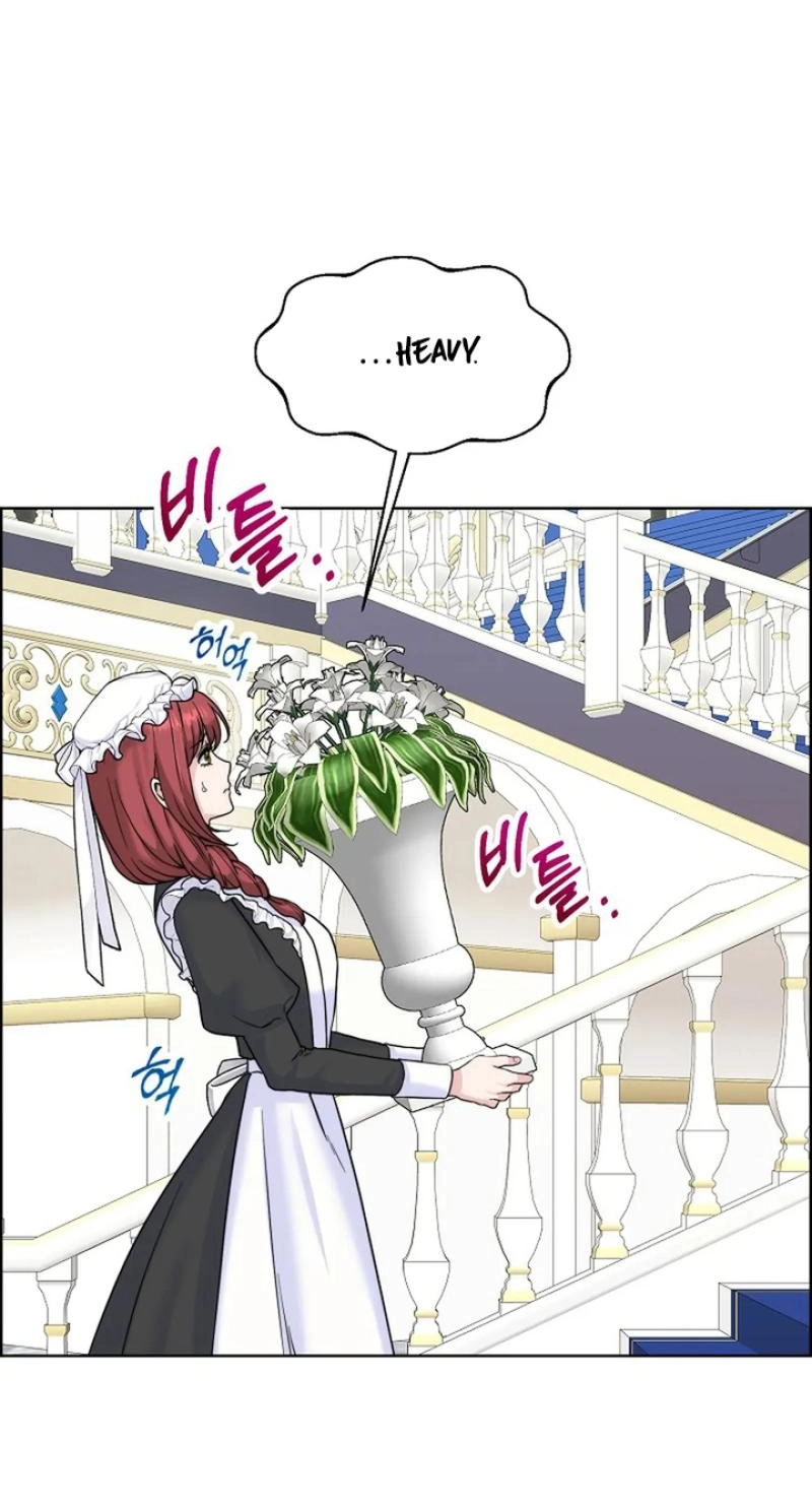 Read The Maid
