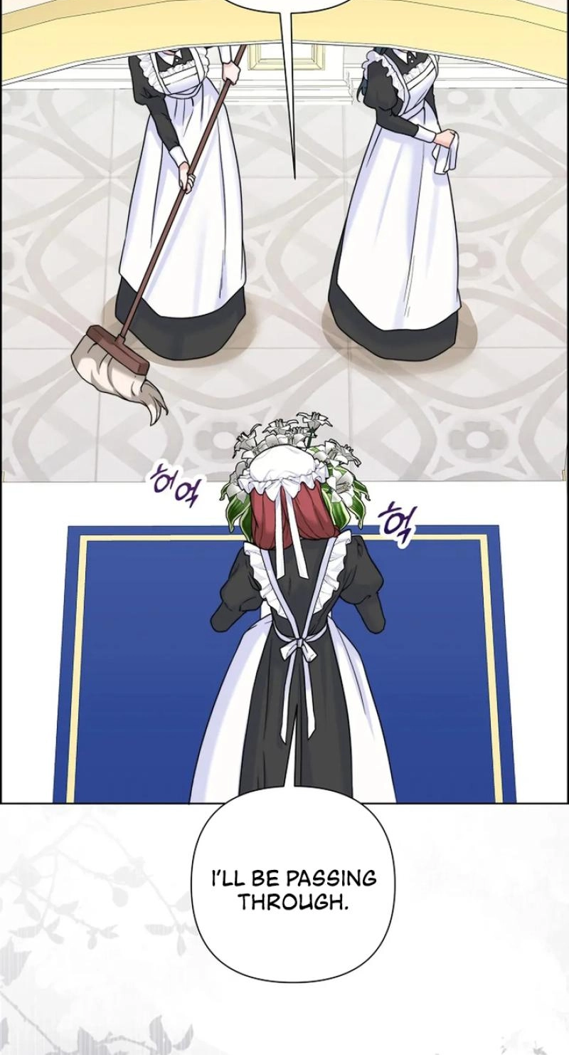 Read The Maid
