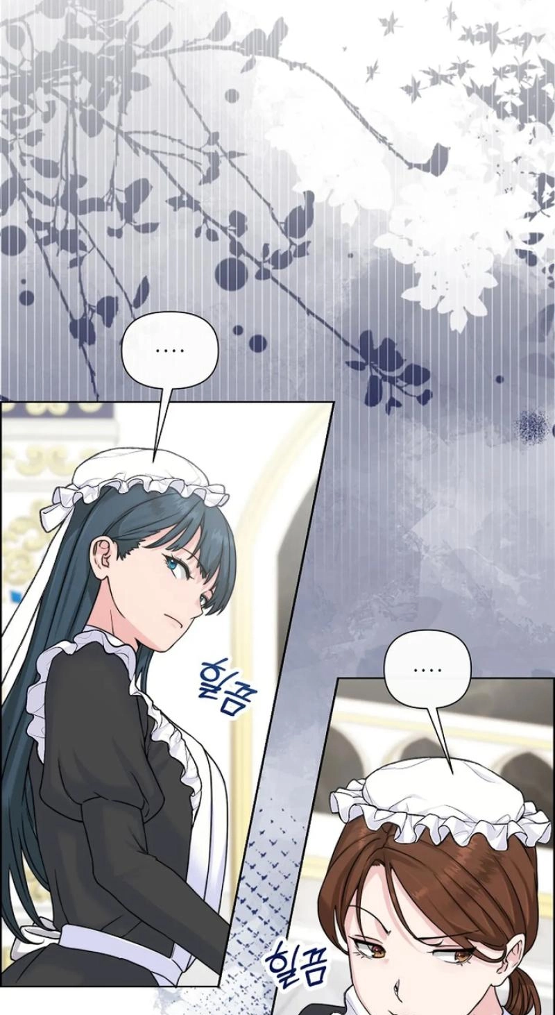 Read The Maid