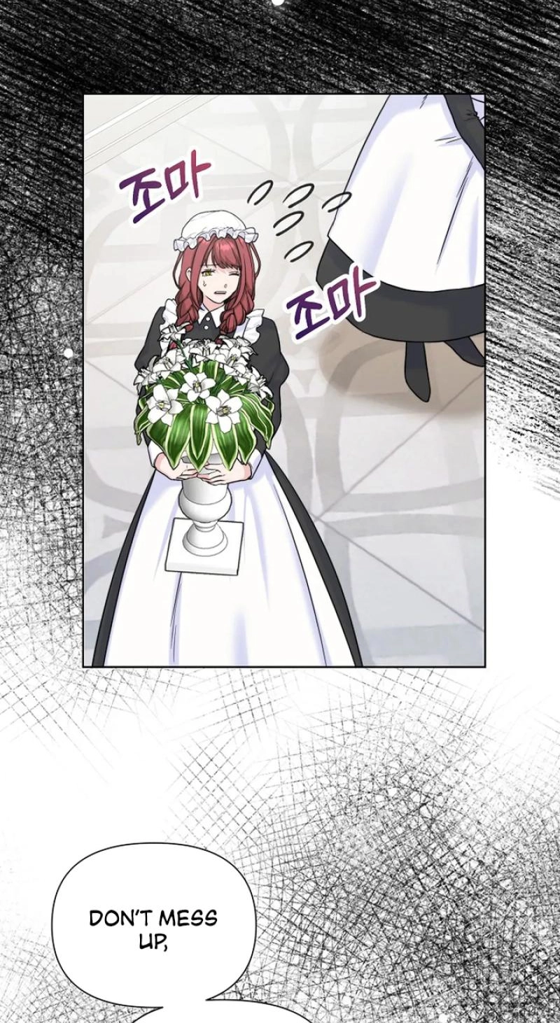 Read The Maid