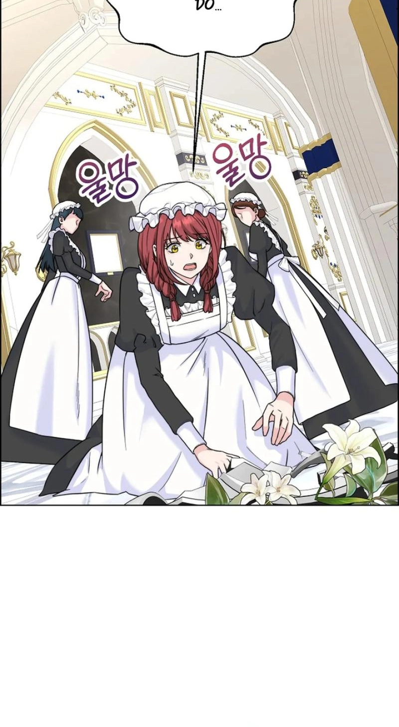 Read The Maid