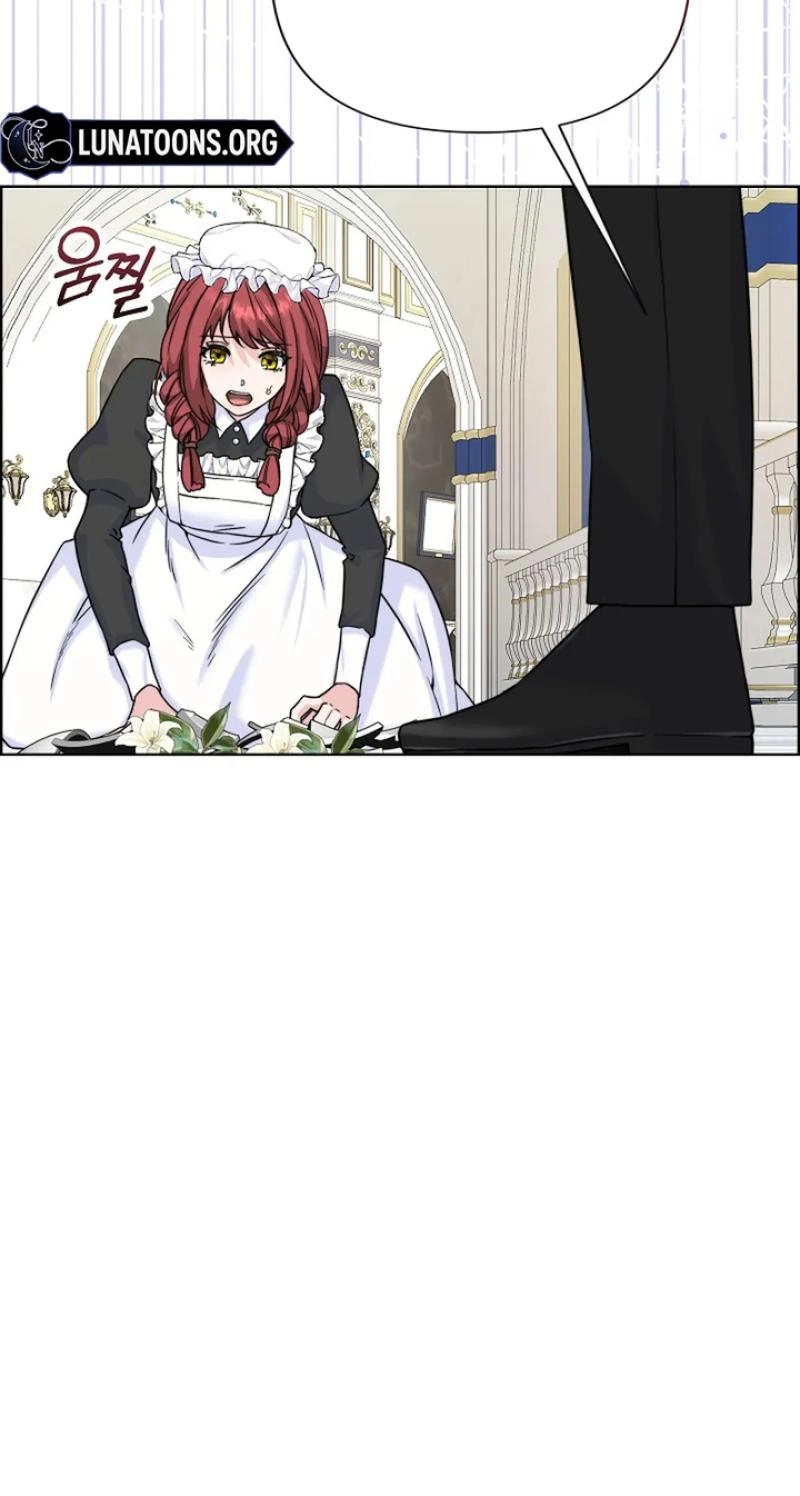 Read The Maid