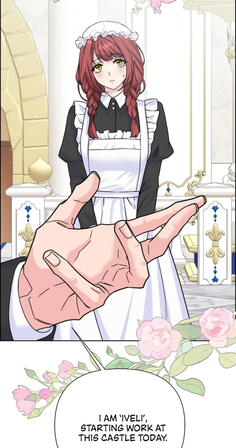 Read The Maid