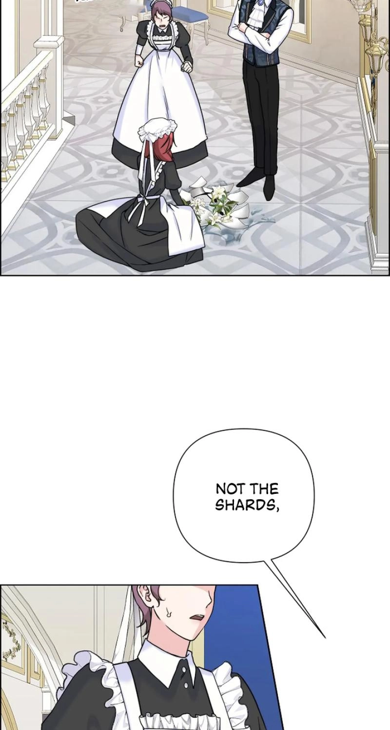 Read The Maid