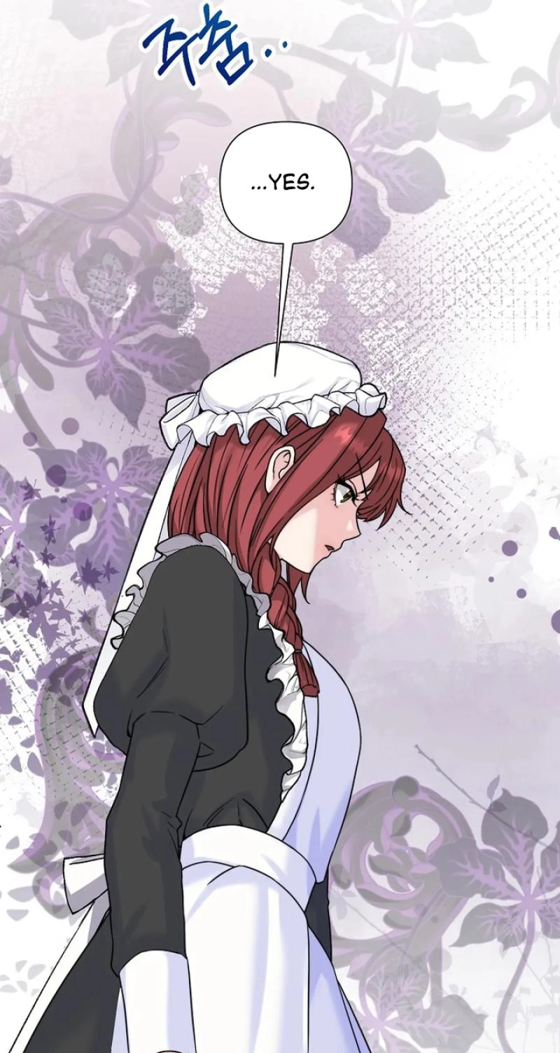 Read The Maid