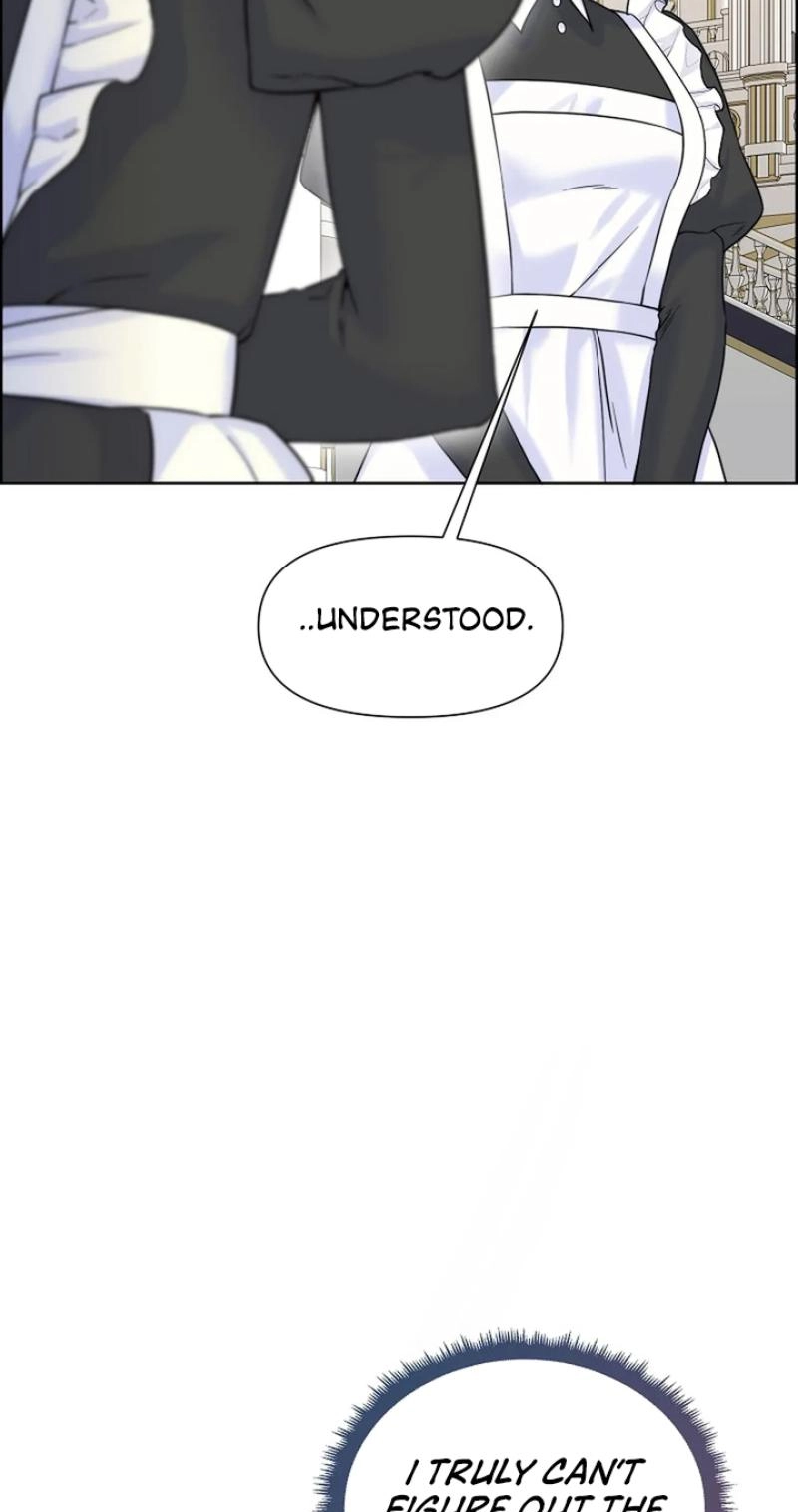 Read The Maid