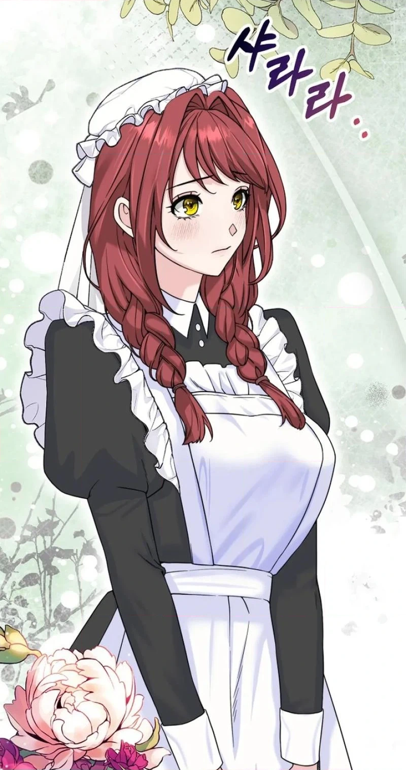 Read The Maid