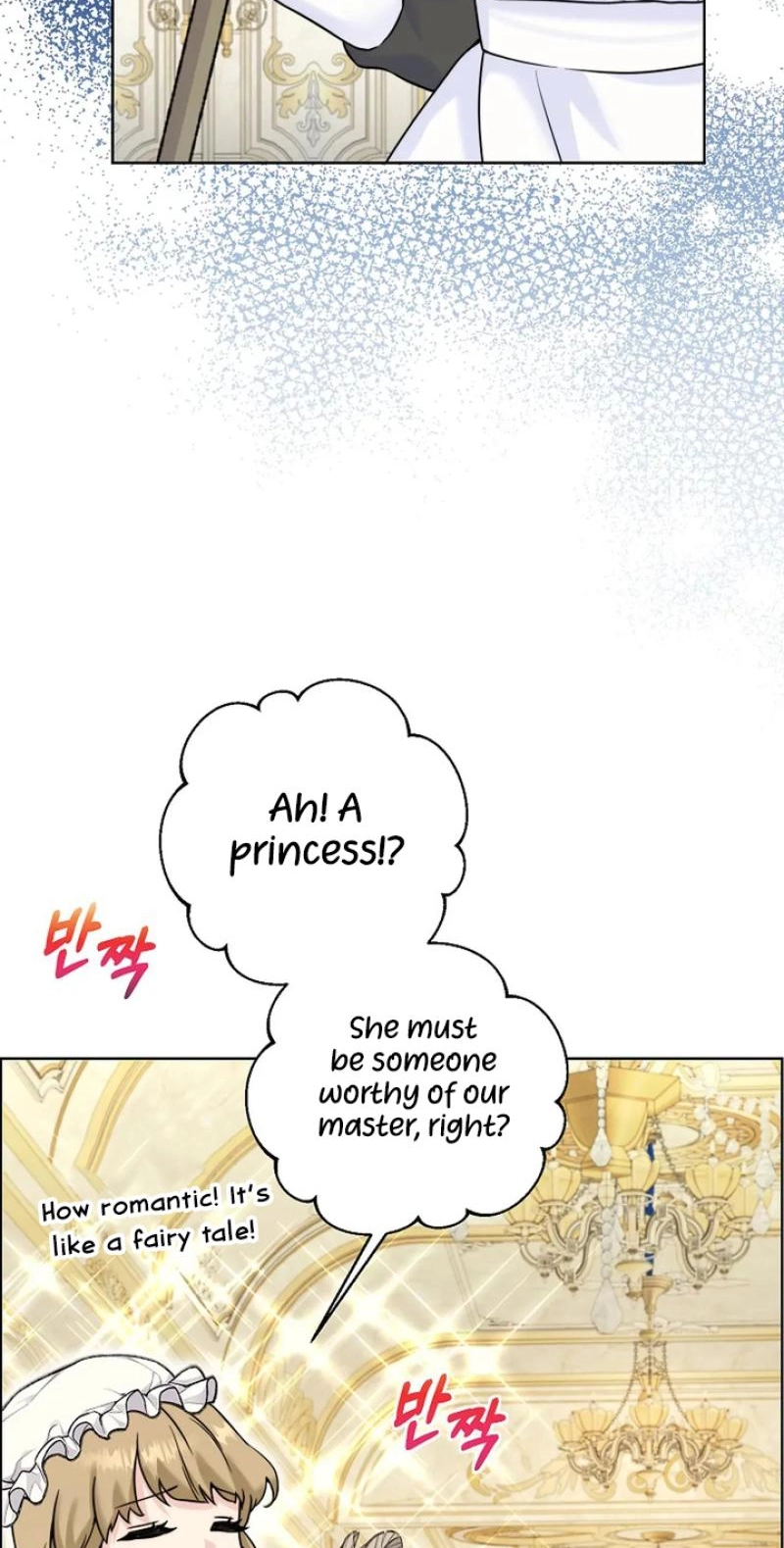 Read The Maid