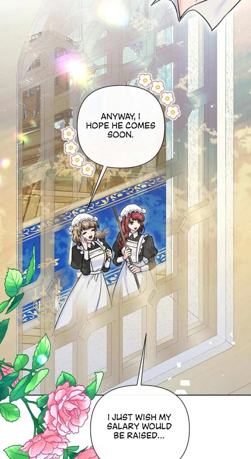 Read The Maid