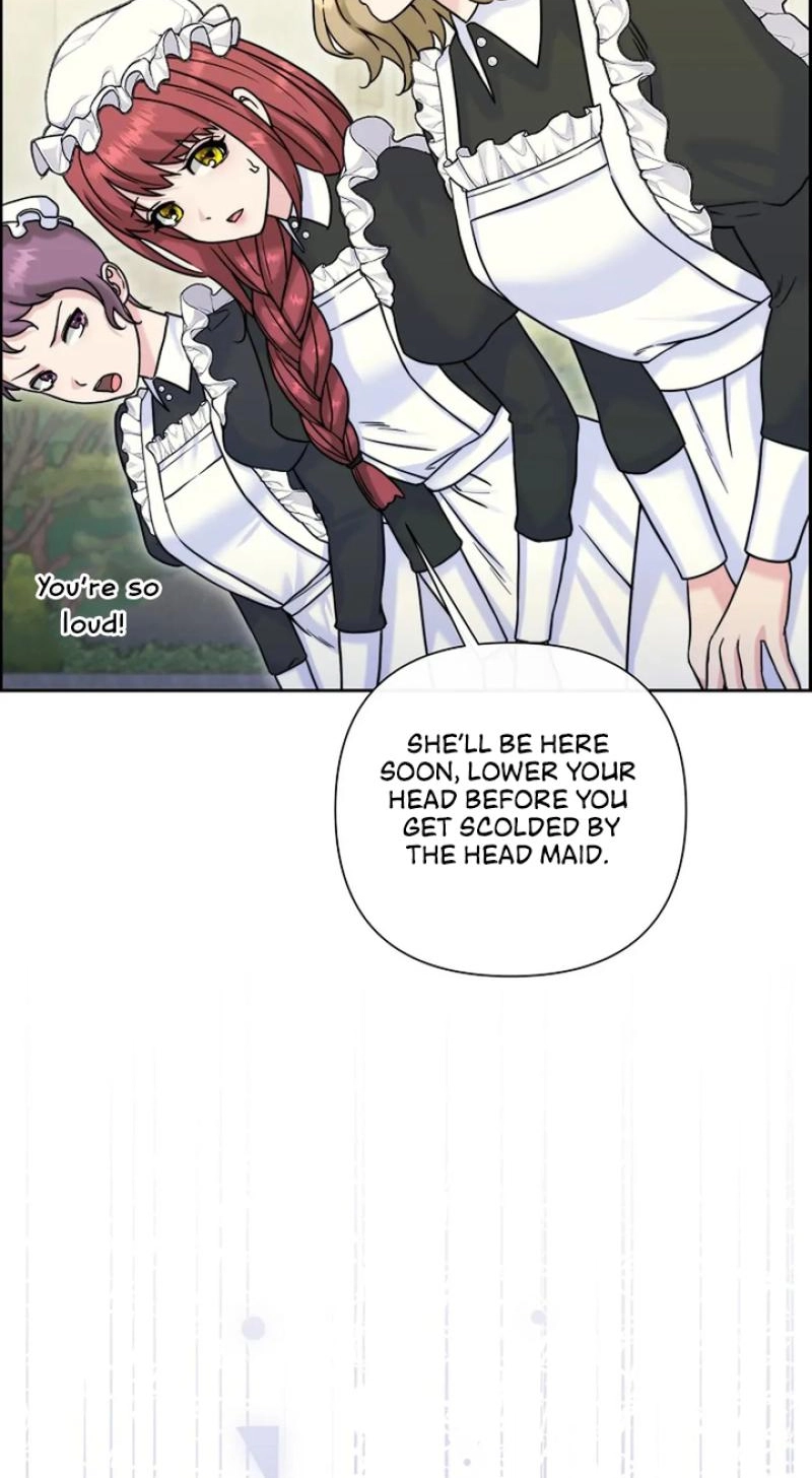 Read The Maid