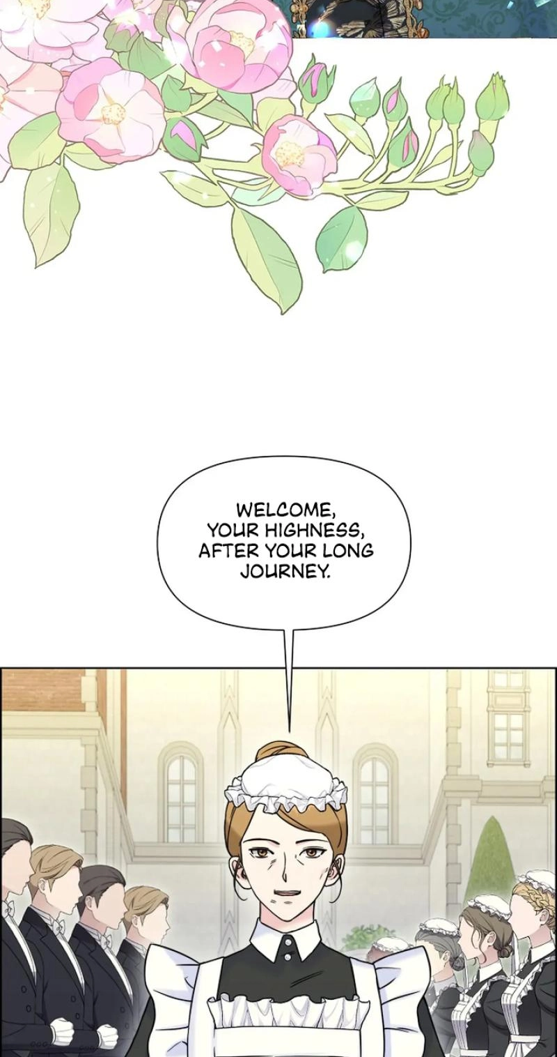 Read The Maid