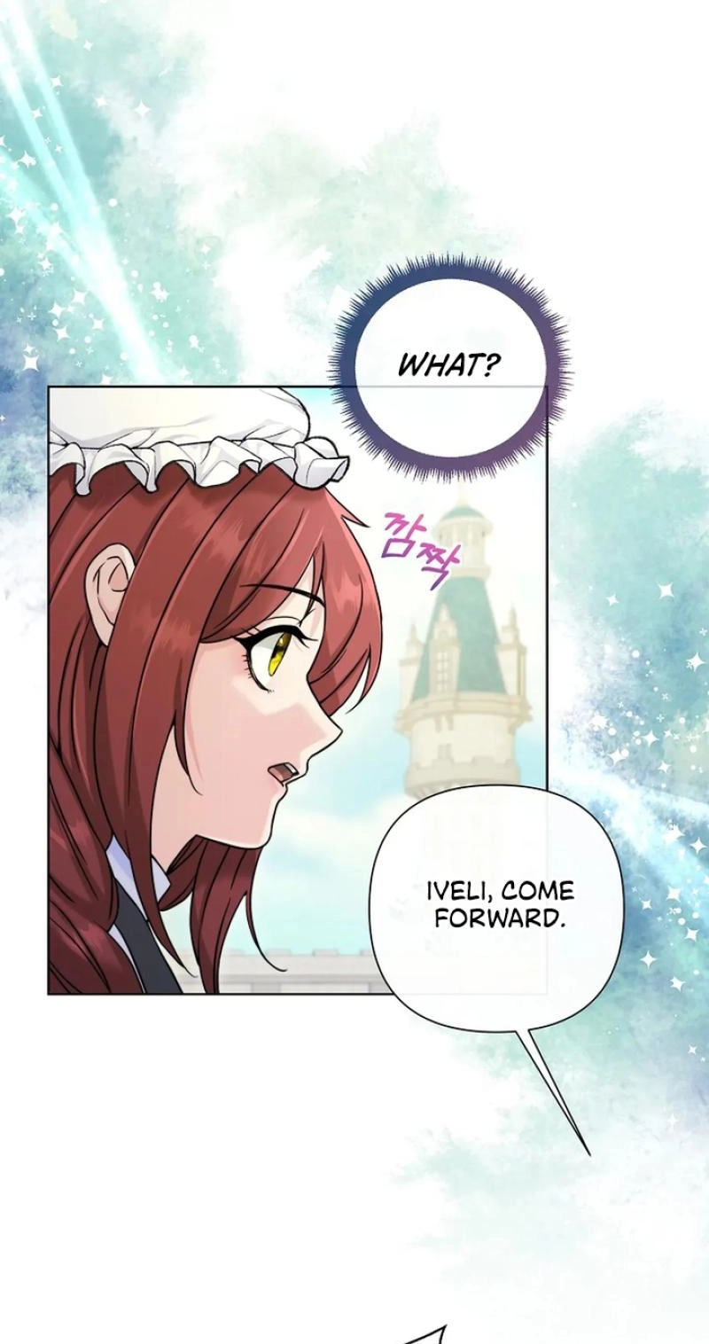 Read The Maid