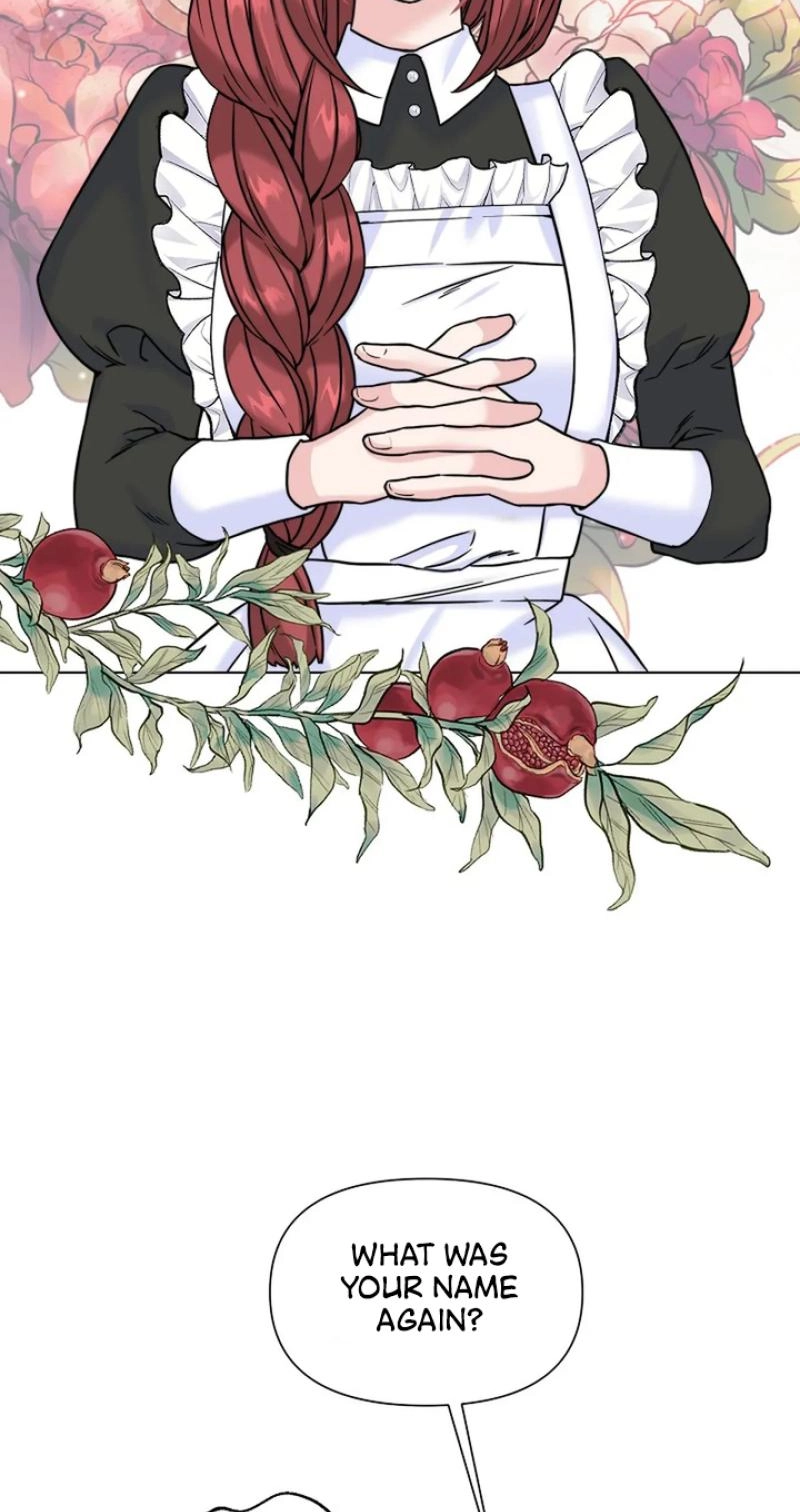 Read The Maid