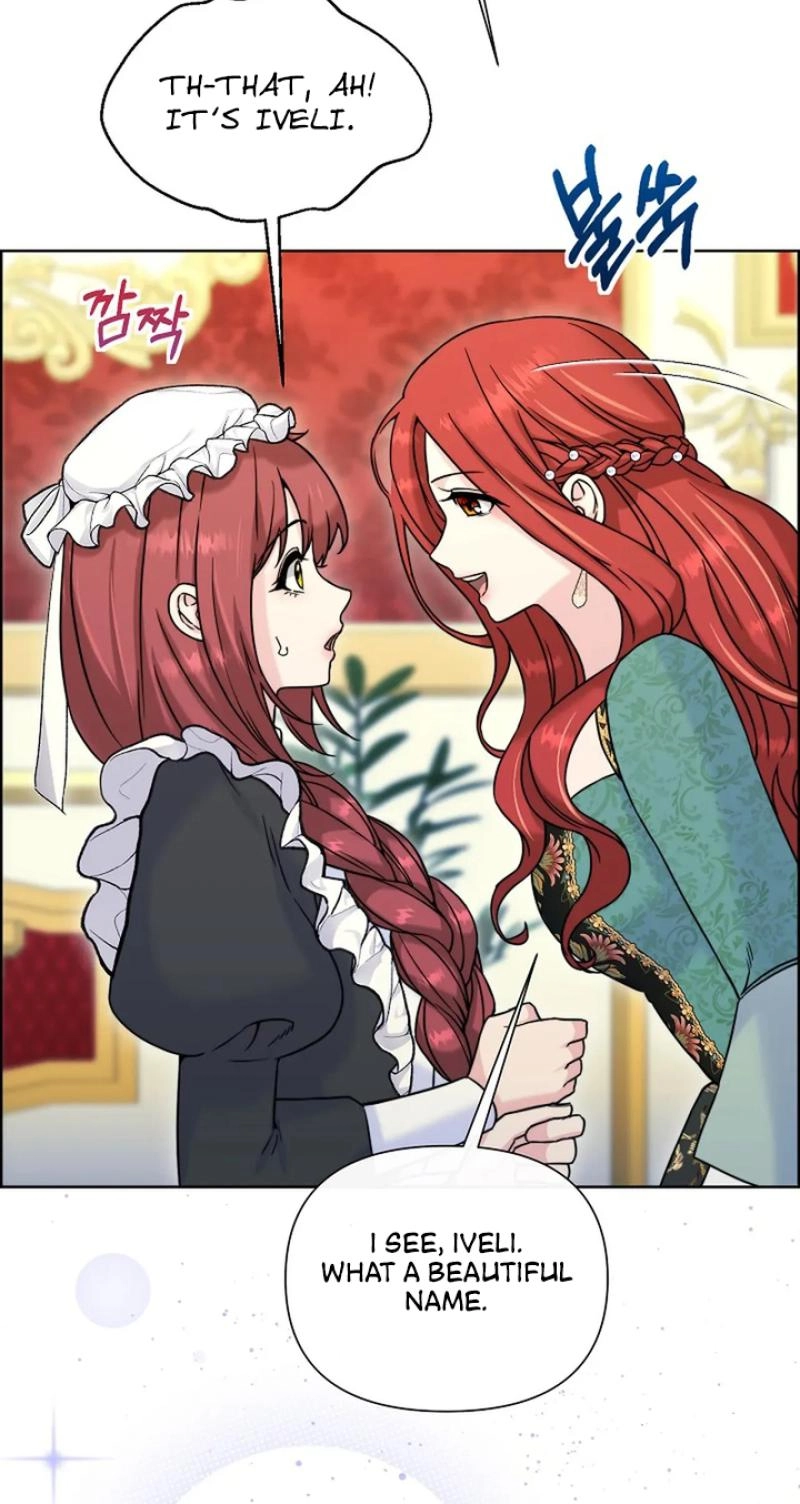 Read The Maid