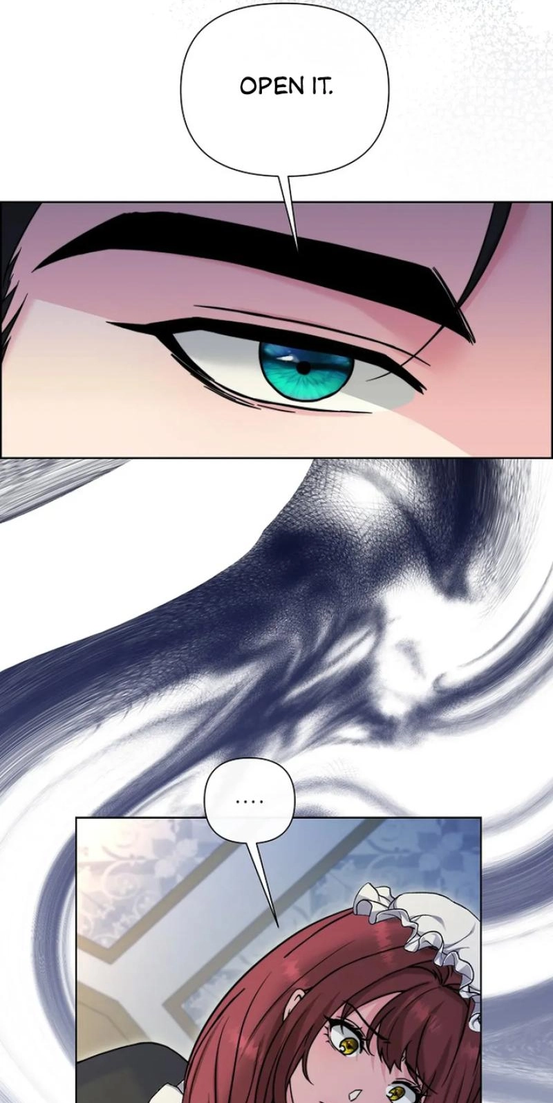 Read The Maid