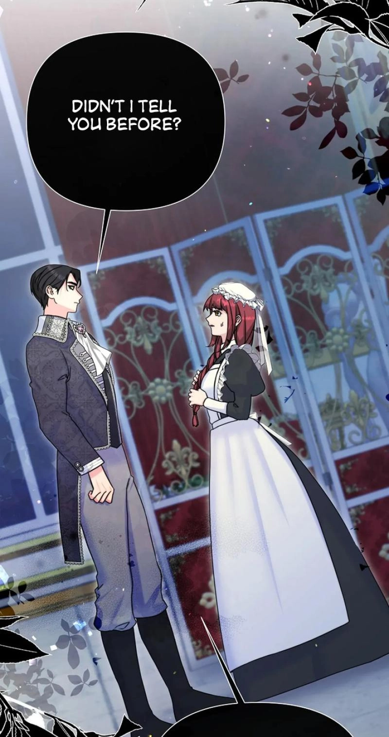 Read The Maid
