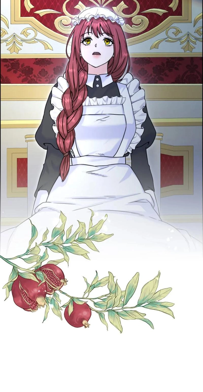 Read The Maid