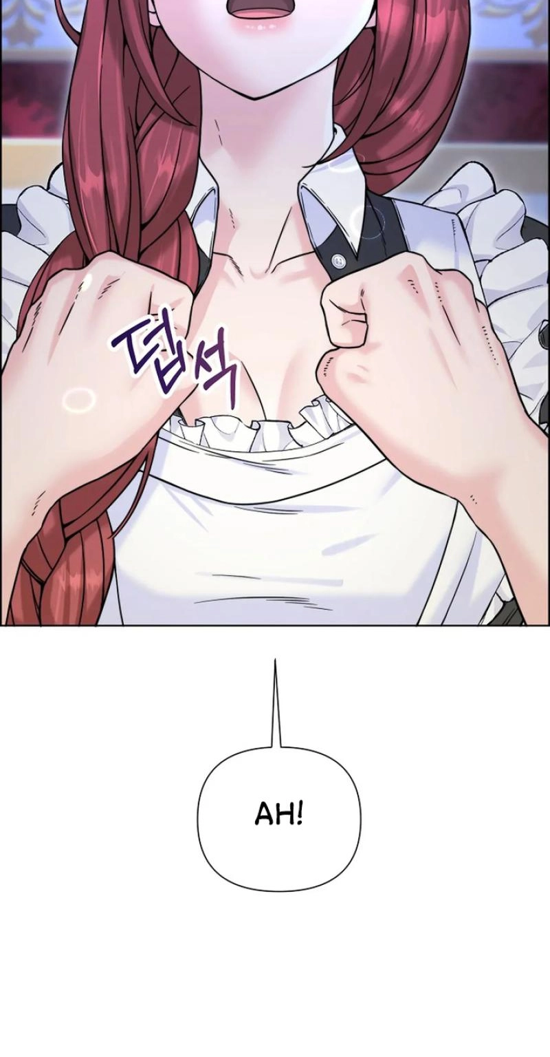 Read The Maid